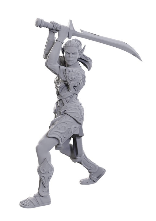 Dungeons & Dragons: Nolzur's Baldur's Gate 3 Lae'zel & Shadowheart