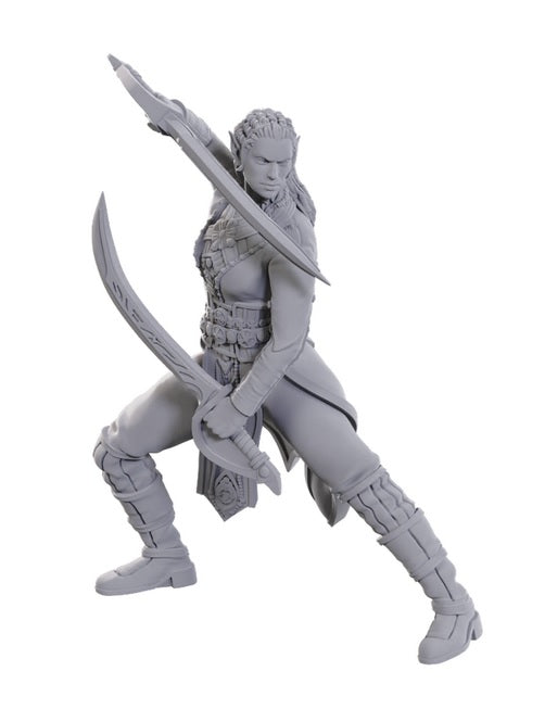 Dungeons & Dragons: Nolzur's Baldur's Gate 3 Jaheira & Halsin