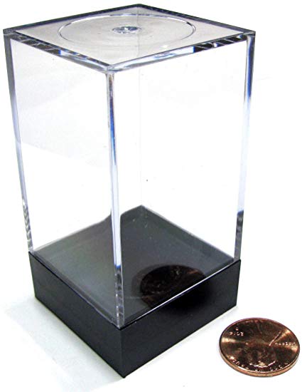 Plastic Figure Display Box: Medium Tall