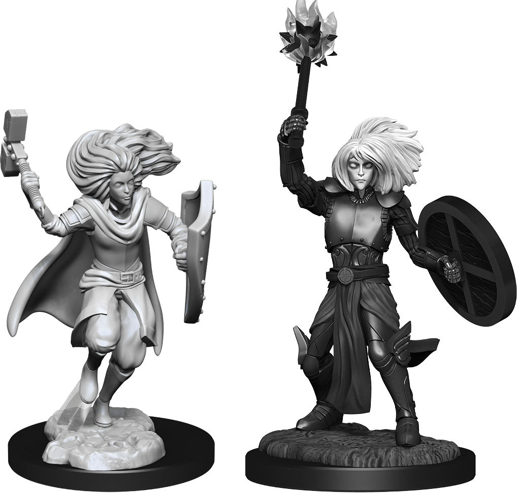 Dungeons & Dragons: Nolzur's Marvelous Unpainted Miniatures - W14 Changeling Cleric