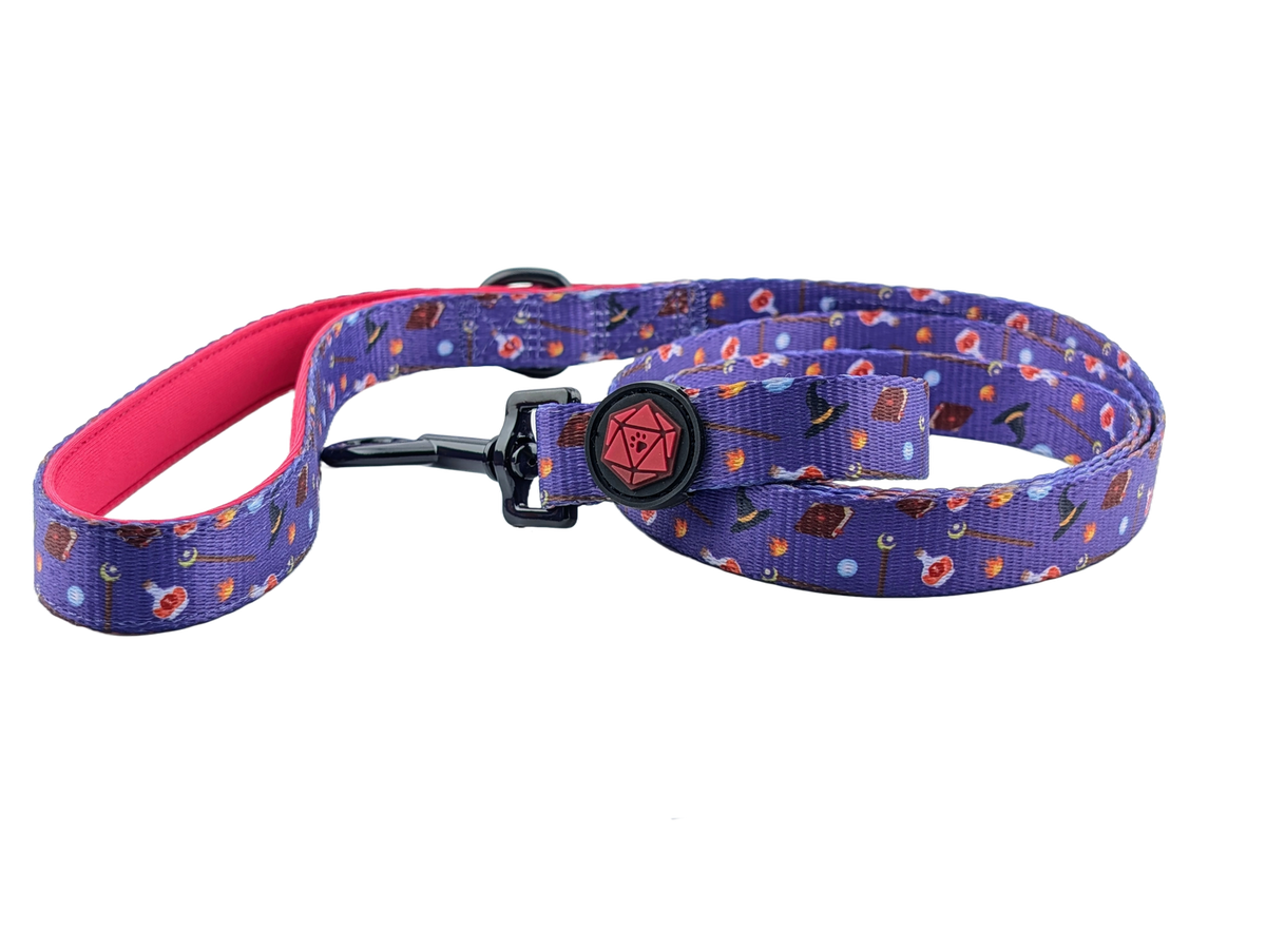 Wizard - Dog Leash Large
