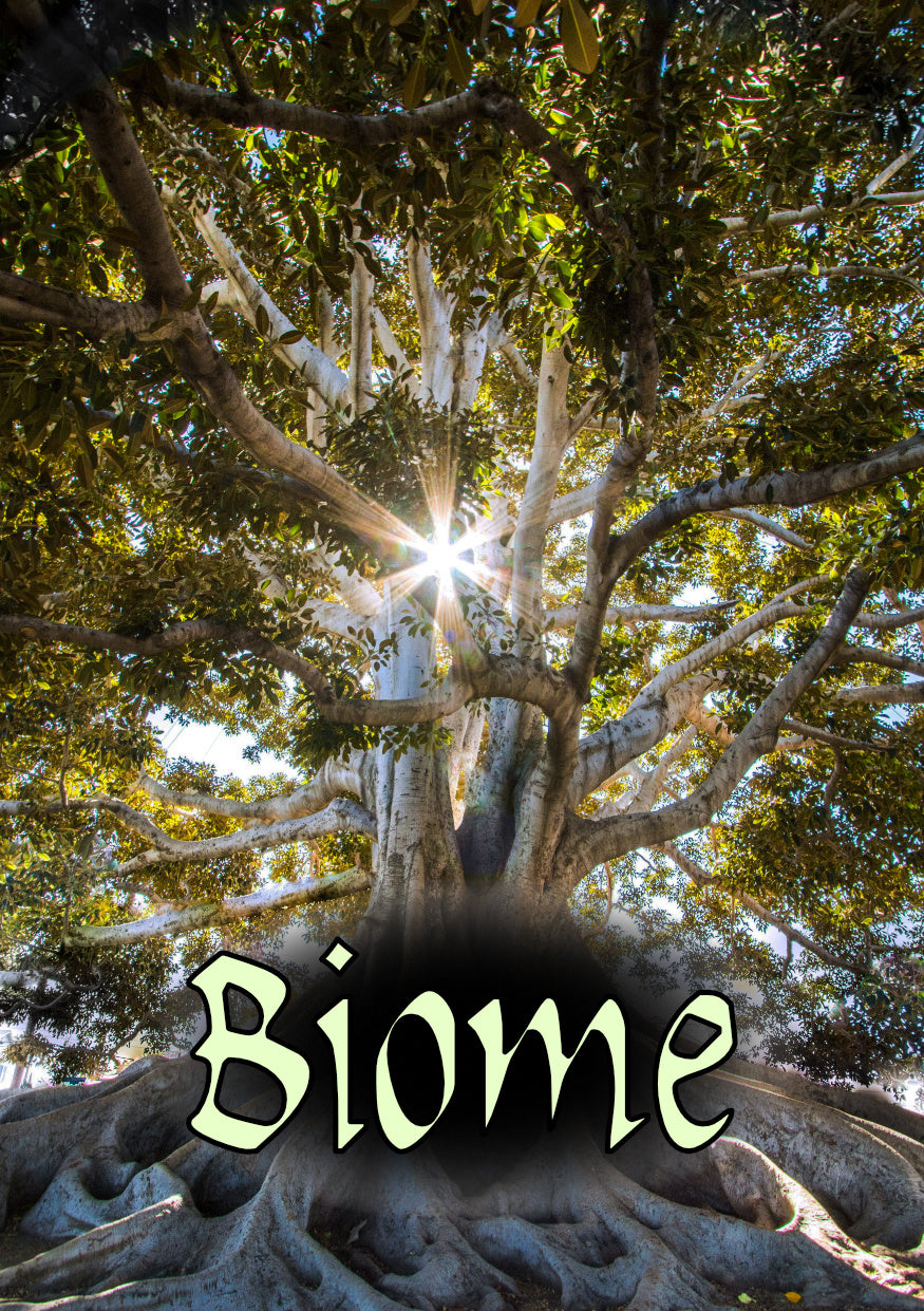 Biome RPG
