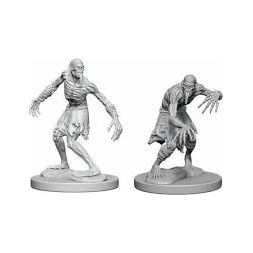 Dungeons & Dragons: Nolzur's Marvelous Unpainted Miniatures - W01 Ghouls