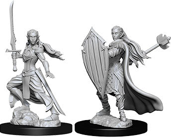 Dungeons & Dragons: Nolzur's Marvelous Unpainted Miniatures - W09 Female Elf Paladin