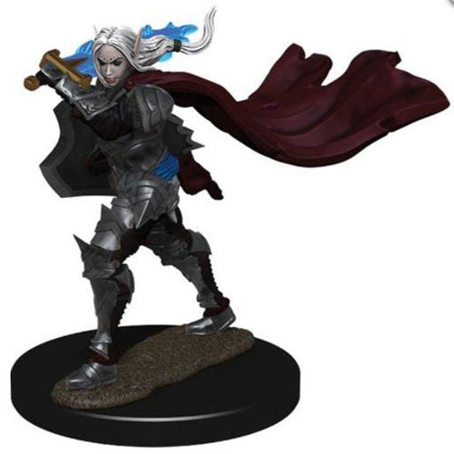 Pathfinder Battles: Premium Painted Figure - W02 Elf Paladin Female